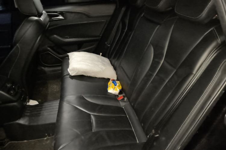 Used Hongqi H5 2019 30TD Dynamic Edition Left Rear Seat