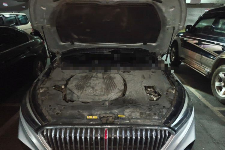 Used Hongqi H5 2019 30TD Dynamic Edition Engine Bay
