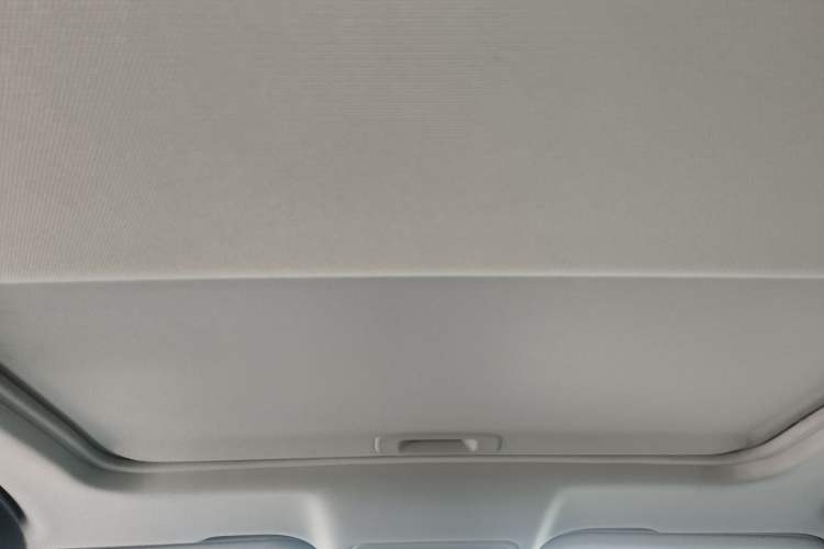 Used Hongqi H5 2019 30TD Smart Connect Dynamic Edition Headliner