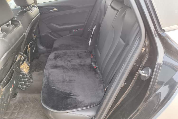 Used Hongqi H5 2019 30TD Smart Connect Dynamic Edition Left Rear Seat