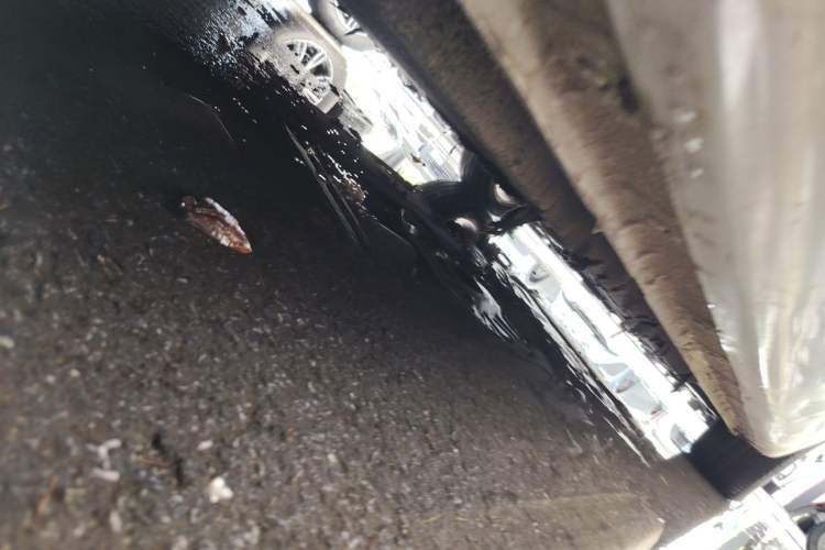 Used Hongqi H5 2019 30TD Dynamic Edition Chassis Rear Right