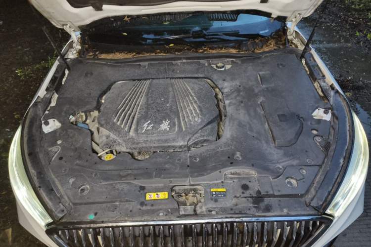 Used Hongqi H5 2019 30TD Dynamic Edition Engine Bay