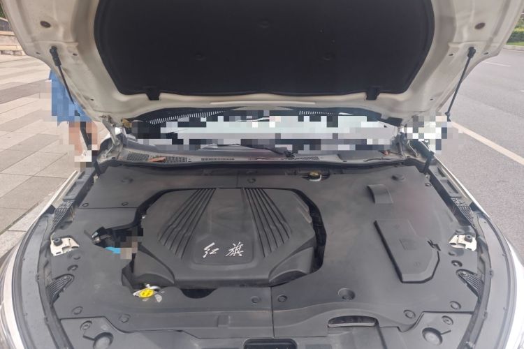 Used Hongqi H5 2019 30TD Dynamic Edition Engine Bay