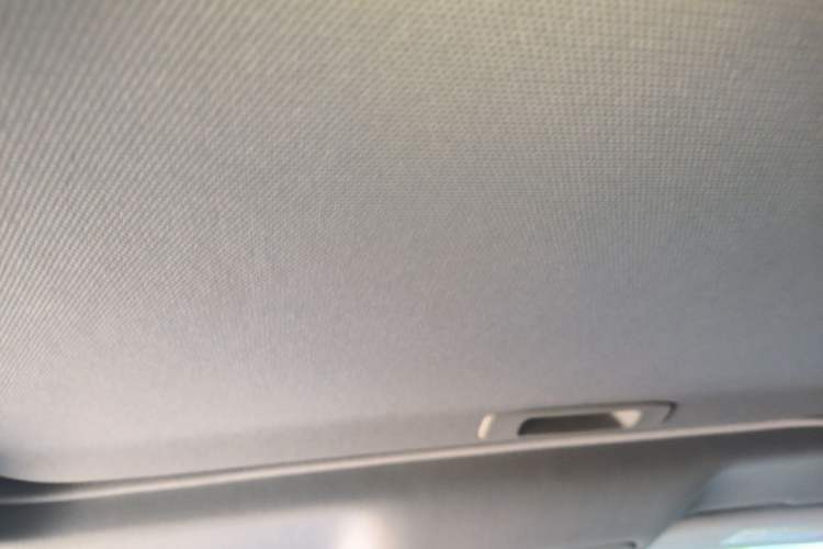 Used Hongqi H5 2019 30TD Smart Connect Dynamic Edition Headliner