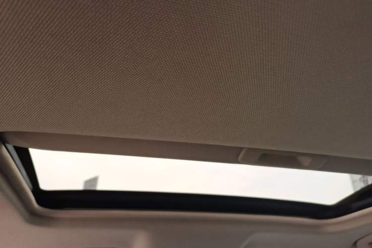 Used Hongqi H5 2019 30TD Smart Connect Dynamic Edition Headliner