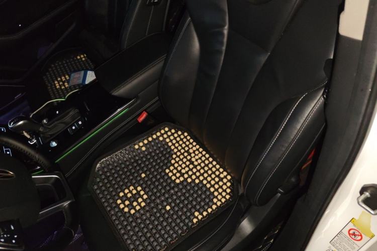 Used Hongqi H5 2019 30TD Smart Connect Dynamic Edition Left Front Seat