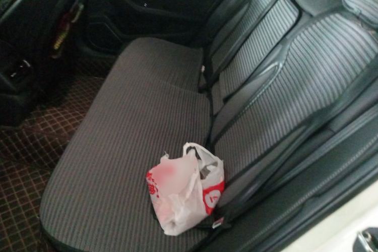 Used Hongqi H5 2019 30TD Dynamic Edition Left Rear Seat