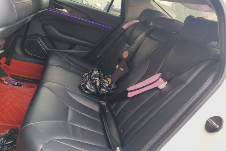 Used Hongqi H5 2019 30TD Dynamic Edition Left Rear Seat