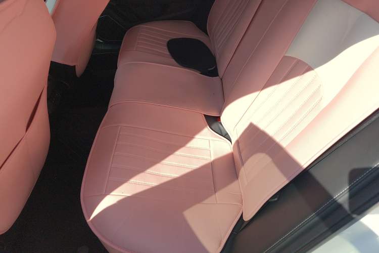 Used Hongqi H5 2019 30TD Dynamic Edition Left Rear Seat