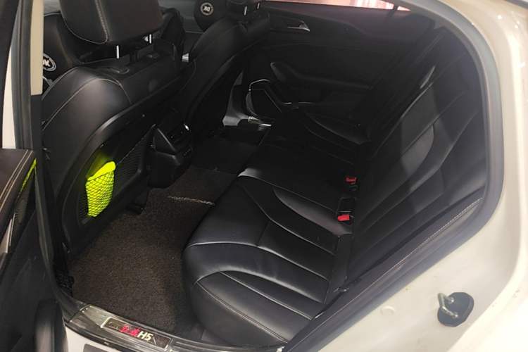 Used Hongqi H5 2019 30TD Dynamic Edition Left Rear Seat