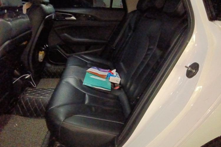 Used Hongqi H5 2019 30TD Dynamic Edition Left Rear Seat