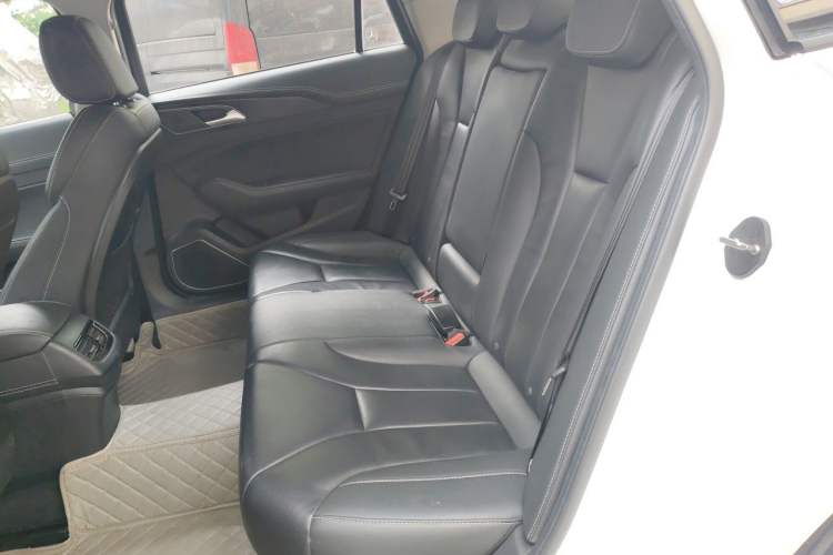 Used Hongqi H5 2019 30TD Dynamic Edition Left Rear Seat