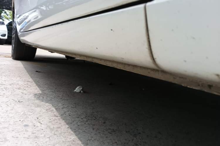 Used Hongqi H5 2019 30TD Smart Connect Dynamic Edition Right Side Sill
