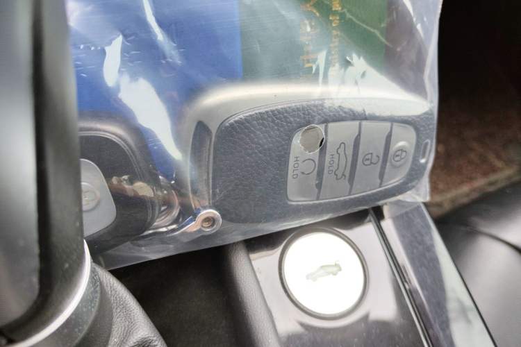 Used Hongqi H5 2019 30TD Dynamic Edition Vehicle Key