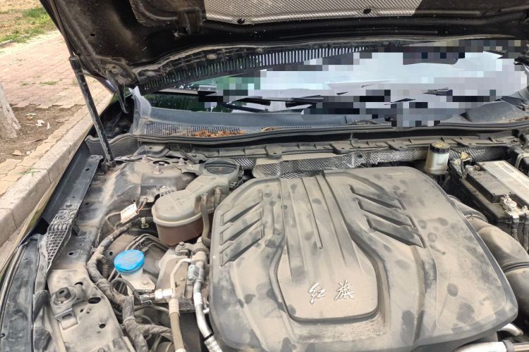 Used Hongqi H5 2020 1.5T DCT Flagship Edition Engine Bay Right