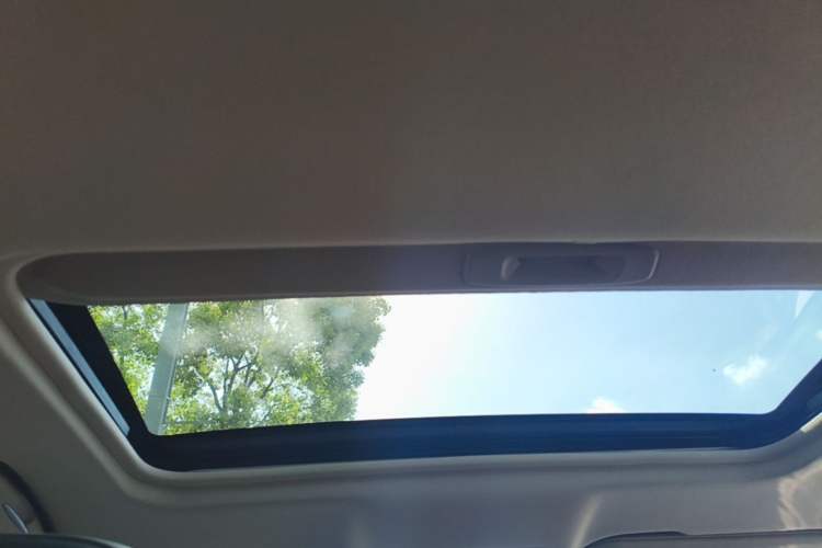 Used Hongqi H5 2020 1.5T DCT Flagship Edition Headliner