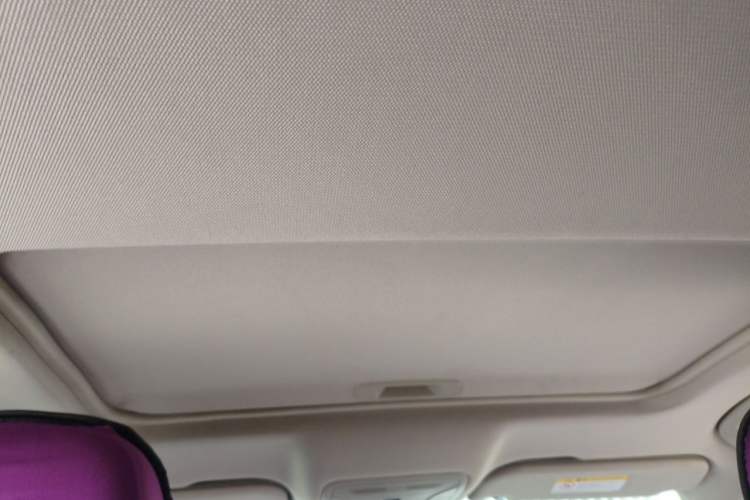 Used Hongqi H5 2020 1.5T DCT Flagship Edition Headliner