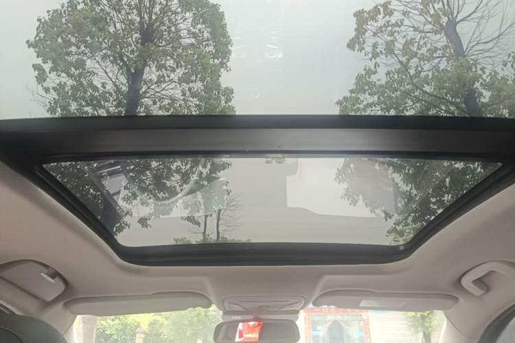 Used Hongqi H5 2020 1.8T Automatic Smart Connect Flagship Edition Headliner