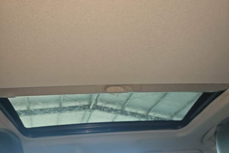 Used Hongqi H5 2020 1.5T DCT Flagship Edition Headliner