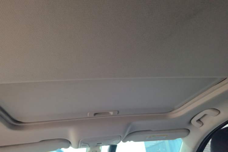 Used Hongqi H5 2020 1.5T DCT Flagship Edition Headliner
