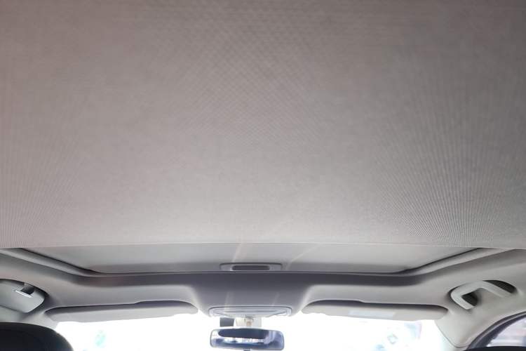 Used Hongqi H5 2020 1.5T DCT Flagship Edition Headliner