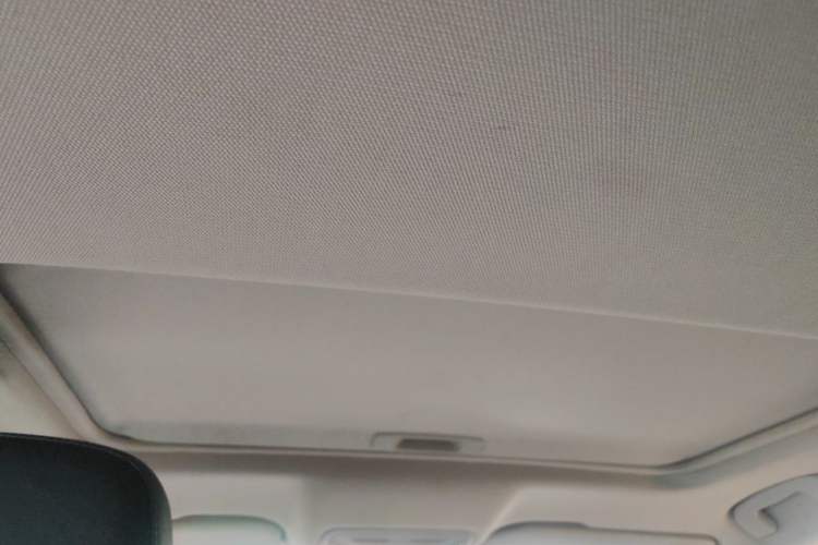 Used Hongqi H5 2020 1.5T DCT Flagship Edition Headliner