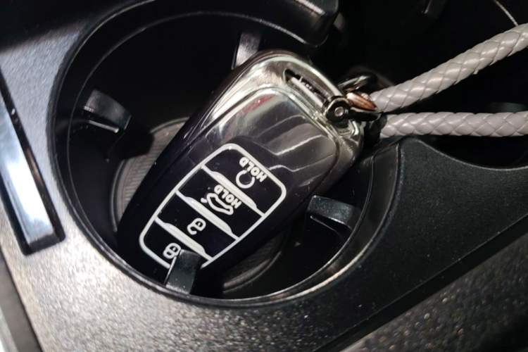Used Hongqi H5 2020 1.8T Automatic Smart Connect Flagship Edition Interior 1