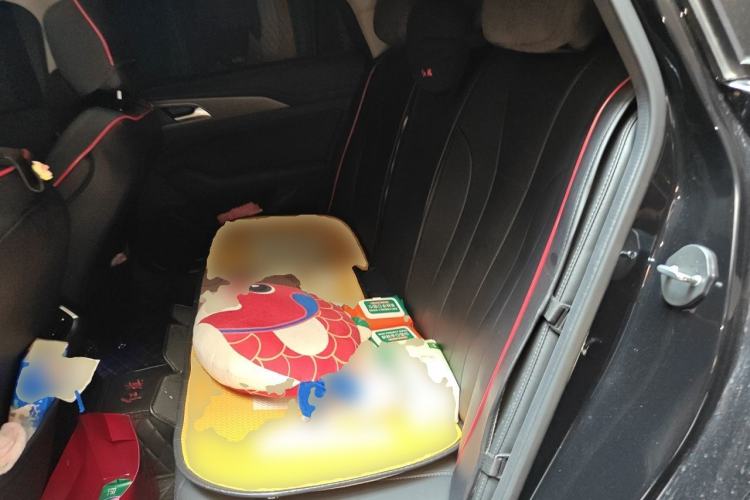 Used Hongqi H5 2020 1.8T Automatic Smart Connect Flagship Edition Left Rear Seat