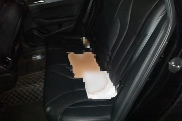 Used Hongqi H5 2020 1.8T Automatic ZhiLian QiYun Edition Left Rear Seat