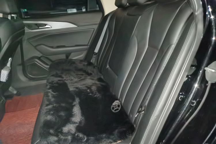 Used Hongqi H5 2020 1.5T DCT Flagship Edition Left Rear Seat