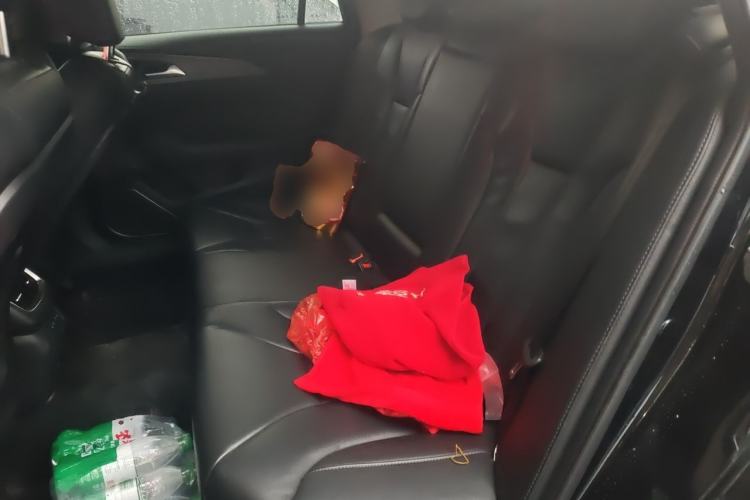 Used Hongqi H5 2020 1.5T DCT Flagship Edition Left Rear Seat