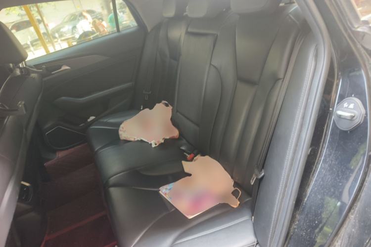 Used Hongqi H5 2020 1.5T DCT Flagship Edition Left Rear Seat