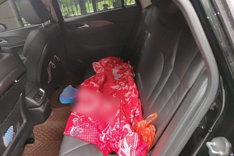 Used Hongqi H5 2020 1.5T DCT Flagship Edition Left Rear Seat
