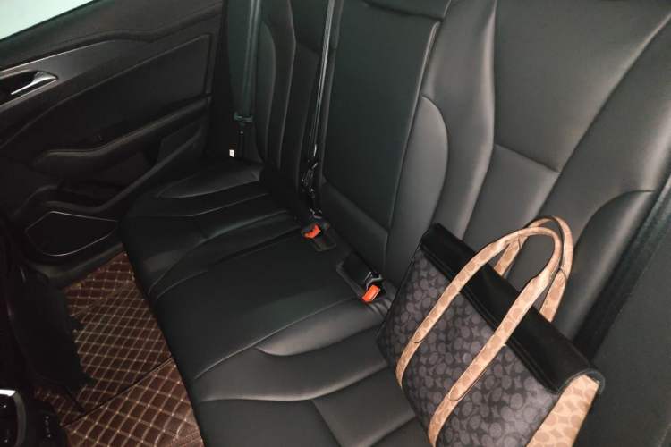 Used Hongqi H5 2020 1.5T DCT Flagship Edition Left Rear Seat