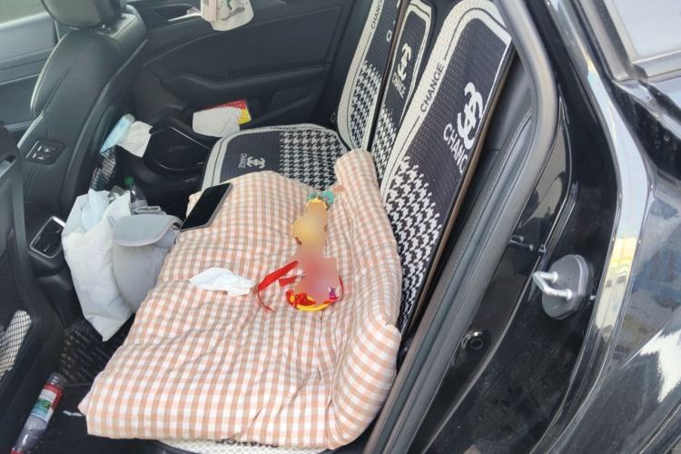 Used Hongqi H5 2020 1.8T Automatic Smart Connect Flagship Edition Left Rear Seat