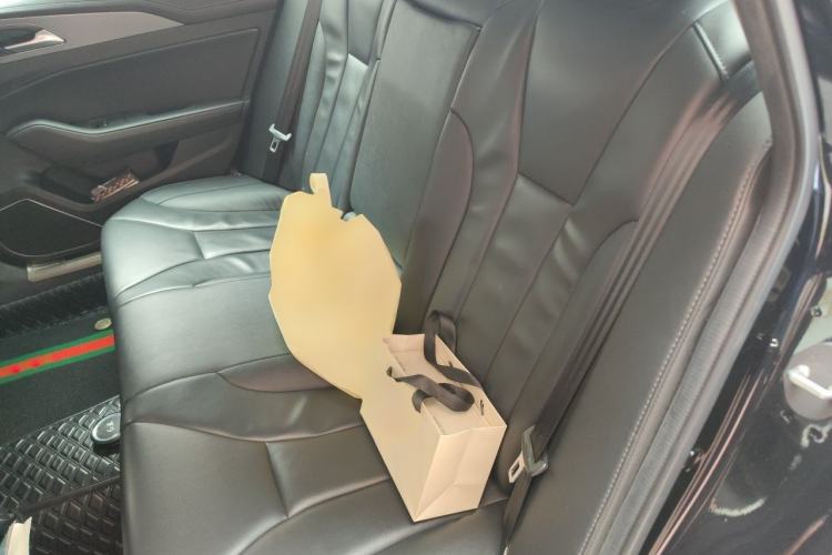 Used Hongqi H5 2020 1.5T DCT Flagship Edition Left Rear Seat
