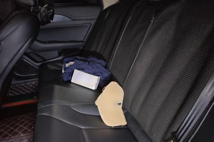 Used Hongqi H5 2020 1.5T DCT Flagship Edition Left Rear Seat