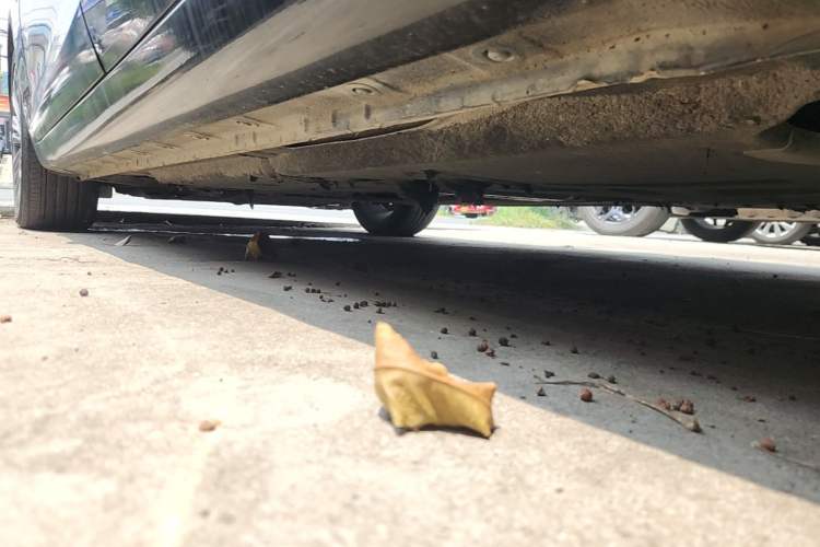 Used Hongqi H5 2020 1.5T DCT Flagship Edition Left Side Sill