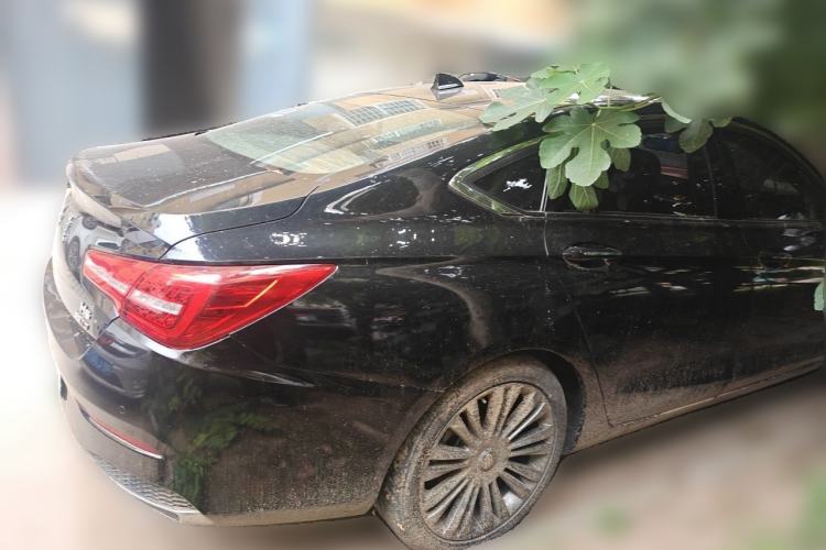 Used Hongqi H5 2020 1.5T DCT Flagship Edition Rear Right 45 Deg
