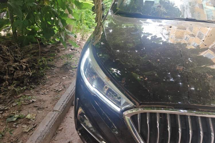 Used Hongqi H5 2020 1.5T DCT Flagship Edition Right Front Headlight