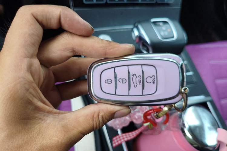Used Hongqi H5 2020 1.5T DCT Flagship Edition Vehicle Key
