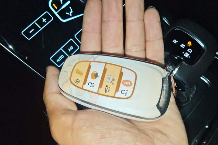 Used Hongqi H5 2020 1.5T DCT Flagship Edition Vehicle Key