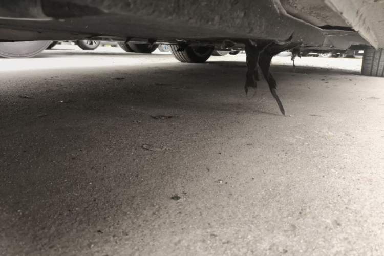 Used Hongqi H5 2020 1.5T DCT Flagship Edition Chassis Rear Right