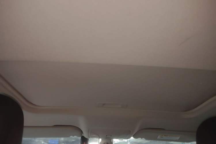 Used Hongqi H5 2020 1.5T DCT Flagship Edition Headliner