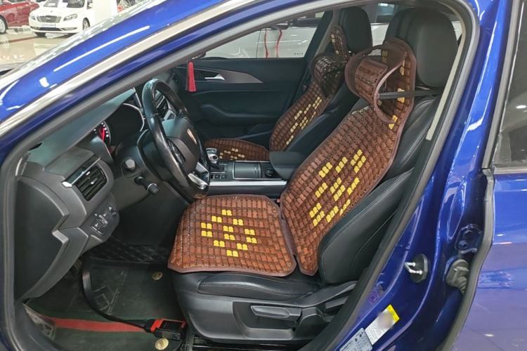Used Hongqi H5 2020 1.5T DCT Flagship Edition Left Front Seat