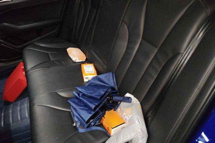 Used Hongqi H5 2020 1.5T DCT Flagship Edition Left Rear Seat