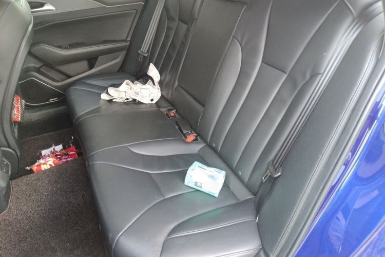 Used Hongqi H5 2020 1.8T Automatic Smart Connect Flagship Edition Left Rear Seat
