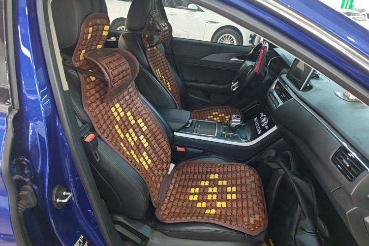Used Hongqi H5 2020 1.5T DCT Flagship Edition Right Front Seat