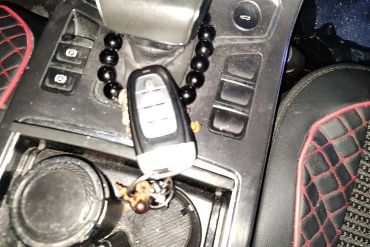 Used Hongqi H5 2020 1.8T Automatic ZhiLian QiYun Edition Vehicle Key