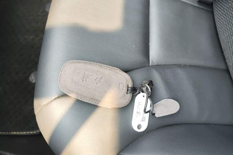 Used Hongqi H5 2020 1.5T DCT Flagship Edition Interior 1